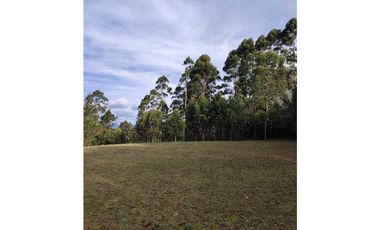 Lote en venta en Rionegro – vía - Aeropuerto.      LC