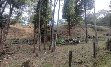 Lote en venta en Rionegro – vía - Aeropuerto.      LC