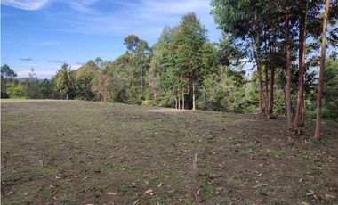 Lote en venta en Rionegro – vía - Aeropuerto.      LC