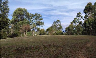 Lote en venta en Rionegro – vía - Aeropuerto.      LC