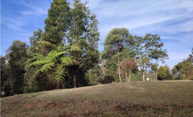 Lote en venta en Rionegro – vía - Aeropuerto.      LC