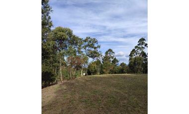 Lote en venta en Rionegro – vía - Aeropuerto.      LC