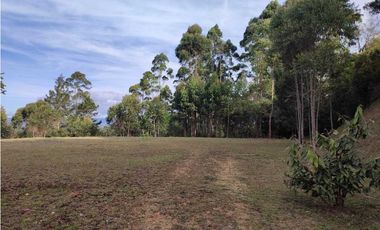 Lote en venta en Rionegro – vía - Aeropuerto.      LC