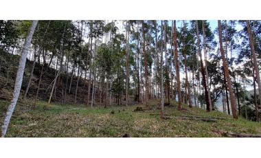 Vendo Finca en Supatá  Cundinamarca