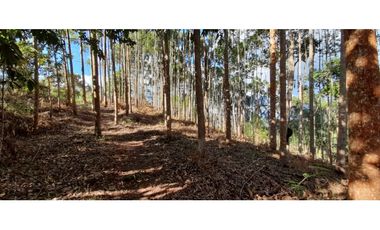 Vendo Finca en Supatá  Cundinamarca