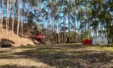 Vendo Finca en Supatá  Cundinamarca