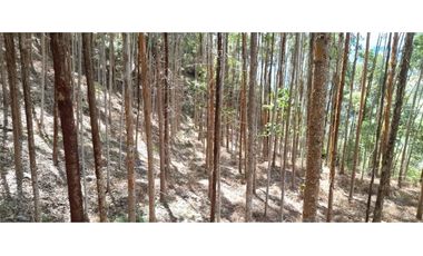 Vendo Finca en Supatá  Cundinamarca