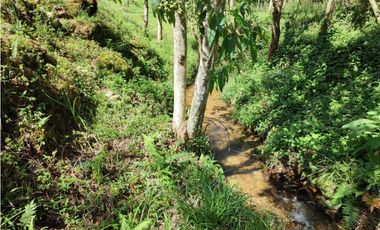 lote en  venta el Retiro sector el chuscal 5,000 m2