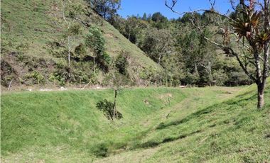 lote en  venta el Retiro sector el chuscal 5,000 m2