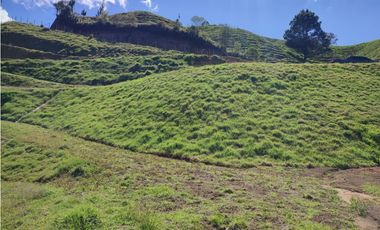 lote en  venta el Retiro sector el chuscal 5,000 m2