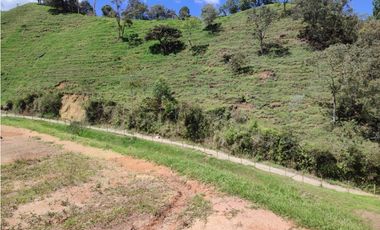 lote en  venta el Retiro sector el chuscal 5,000 m2