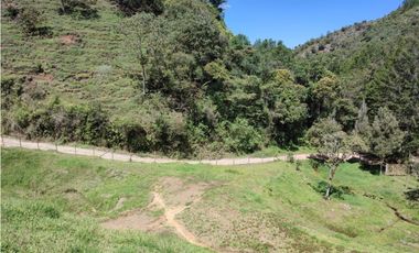 lote en  venta el Retiro sector el chuscal 5,000 m2