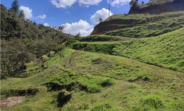 lote en  venta el Retiro sector el chuscal 5,000 m2