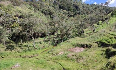 lote en  venta el Retiro sector el chuscal 5,000 m2