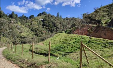 lote en  venta el Retiro sector el chuscal 5,000 m2