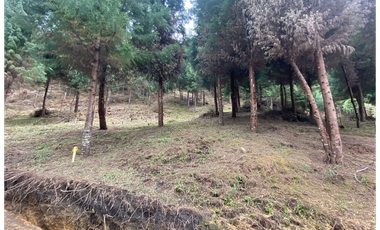 lote en parcelacion Caldas vereda la Miel