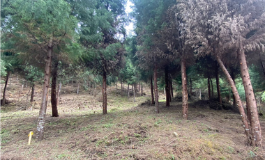 lote en parcelacion Caldas vereda la Miel