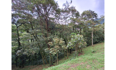 lote en parcelacion Caldas vereda la Miel