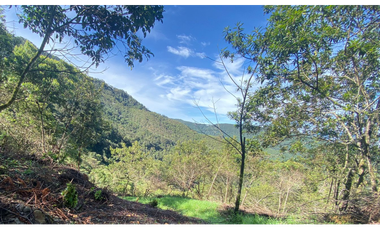 lote en parcelacion Caldas vereda la Miel