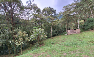 lote en parcelacion Caldas vereda la Miel