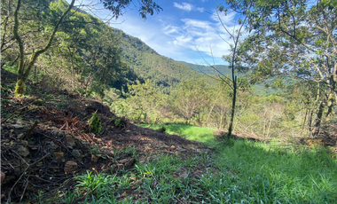 lote en parcelacion Caldas vereda la Miel