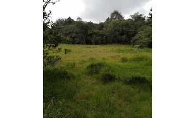 Lote en Venta Vereda El Cerro Santa Elena Medellín Antioquia