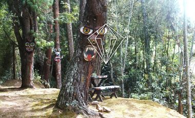 FINCA EN VENTA EN LA CEJA ANTIOQUIA PARCELACION