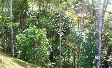 FINCA EN VENTA EN LA CEJA ANTIOQUIA PARCELACION