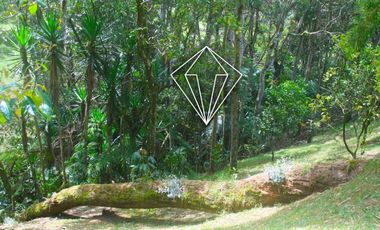 FINCA EN VENTA EN LA CEJA ANTIOQUIA PARCELACION