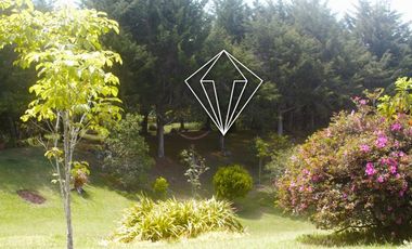 FINCA EN VENTA EN LA CEJA ANTIOQUIA PARCELACION