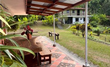 Finca en venta a 12 minutos de la Pintada