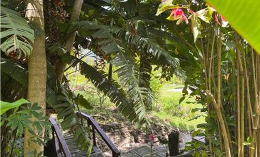 Finca en venta a 12 minutos de la Pintada