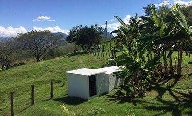 Finca en venta a 12 minutos de la Pintada