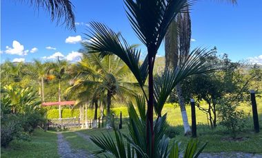 Finca en venta a 12 minutos de la Pintada