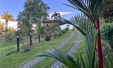 Finca en venta a 12 minutos de la Pintada