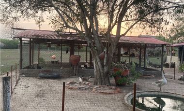 Finca en venta palmar de Varela