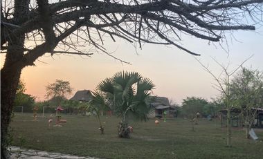 Finca en venta palmar de Varela