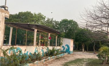 Finca en venta palmar de Varela