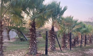 Finca en venta palmar de Varela