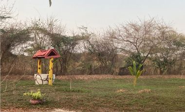 Finca en venta palmar de Varela