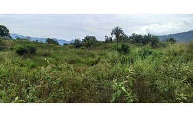 Lote En Condominio Campestre De 600 m² En La Mesa Cundi