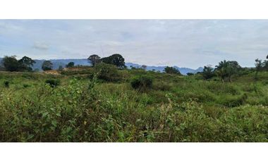 Lote En Condominio Campestre De 600 m² En La Mesa Cundi
