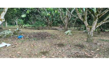 Lote Plano De 1000 M² En La Mesa Cundi