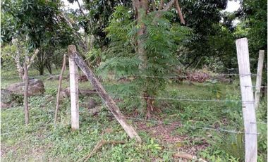 Lote Plano De 1000 M² En La Mesa Cundi