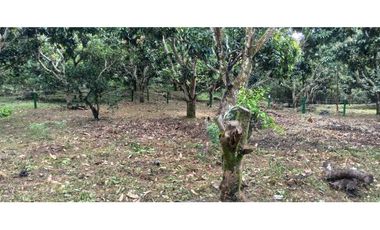 Lote Plano De 1000 M² En La Mesa Cundi