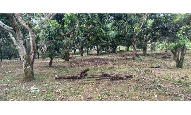 Lote Plano De 1000 M² En La Mesa Cundi