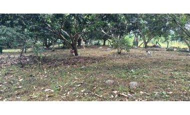 Lote Plano De 1000 M² En La Mesa Cundi