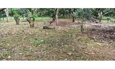 Lote Plano De 1000 M² En La Mesa Cundi