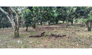 Lote Plano De 1000 M² En La Mesa Cundi