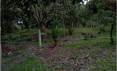 Lote Plano De 1000 M² En La Mesa Cundi